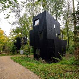 The Buiten of nr. 013 - type Treehouse 6 in Landal Gulpen