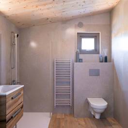 The Badkamer of Type Vogelaar in Landal Zeezigt