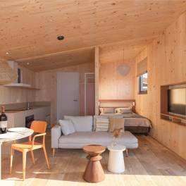 The Woonkamer of Type Vogelaar in Landal Zeezigt