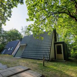 The Buiten of Type Veluwe Villa - nr. 201 Hennep in Landal Bungalowpark Hoenderloo