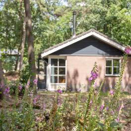 The Buiten of Type Bungalow 4C - nr. 68 in Landal De Peel