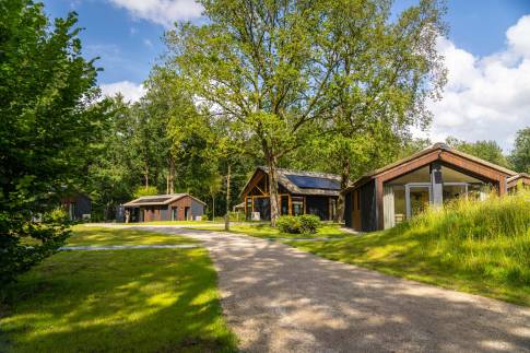 The Buiten of Type Greenhouse - 4C3 in Landal Landgoed Bourtange