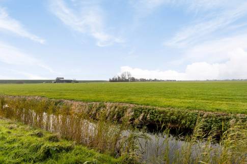 The Omgeving of nr. 037 - Lodge 4B in Landal Park Wijdenes