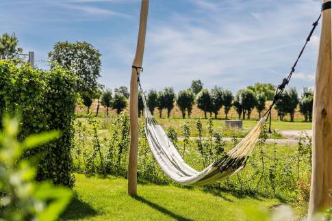 The Terras of Type Family Lodge in Landal Soof aan de Rijn