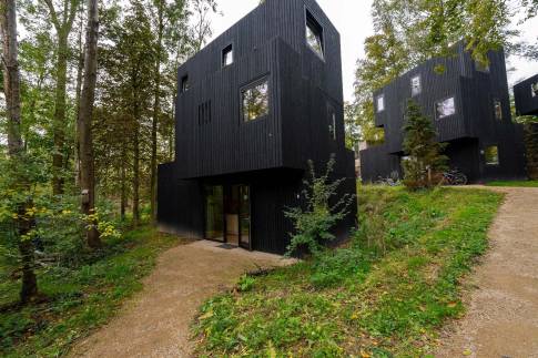 The Buiten of nr. 013 - type Treehouse 6 in Landal Gulpen