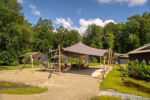 The Omgeving of Type Greenhouse - 4C3 in Landal Landgoed Bourtange