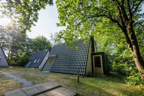 The Buiten of Type Veluwe Villa - nr. 201 Hennep in Landal Bungalowpark Hoenderloo