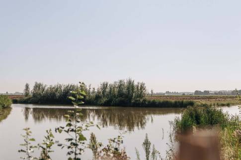 The Omgeving of Type Familievilla 16 - nr. 4 in Landal Park Veerse Kreek