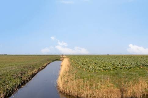 The Omgeving of nr. 043 - Lodge 4B in Landal Park Wijdenes