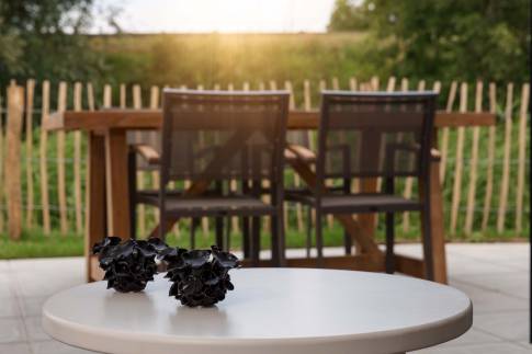 The Buiten of Type Familievilla 16 - nr. 3 in Landal Park Veerse Kreek