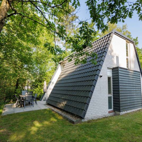 The Buiten of Type Veluwe Villa - nr. 201 Hennep in Landal Bungalowpark Hoenderloo