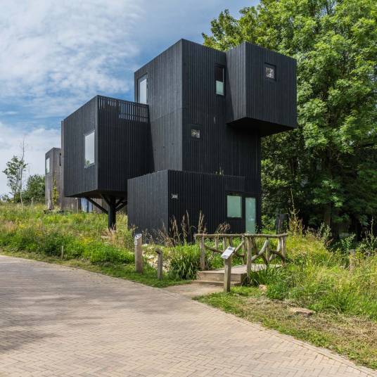 The Buiten of Type Into the Woods - nr. 103 in Roompot Gulpen